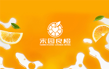 某良橙——宜宾LOGO设计