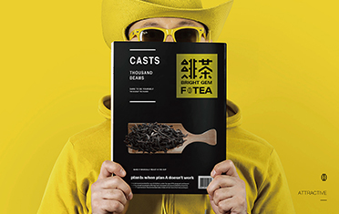 宜宾绯茶品牌设计